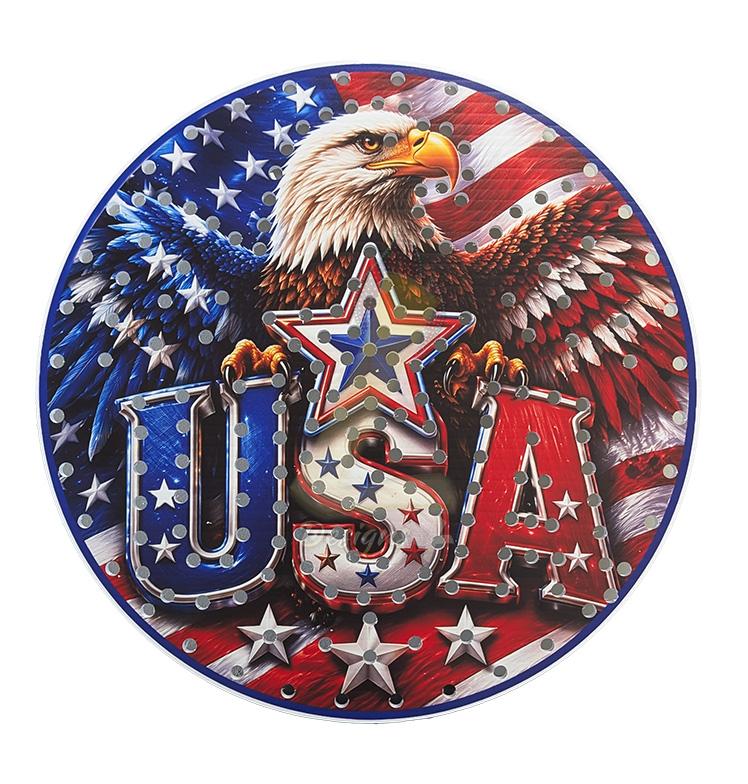 Freedom Eagle USA